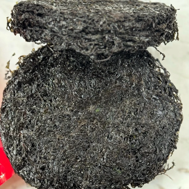 「头水紫菜」营养天然农产品