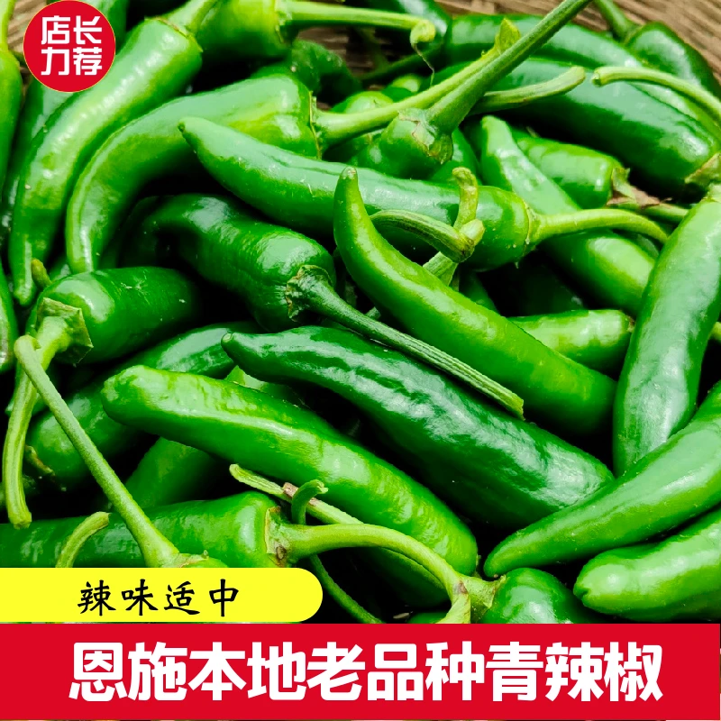 青辣椒恩施高山农家生态自种本地老品种辣椒3斤5斤现摘产地直发