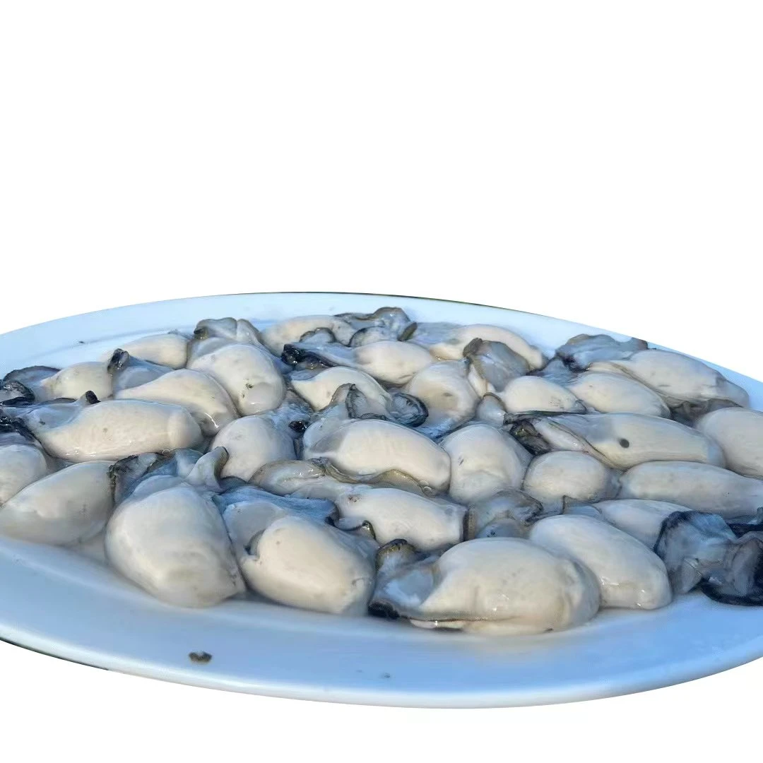 【蚝门】省外拍汫洲粉蚝珍珠蚝海蛎肉3斤装生蚝肉活剥【嫌小勿拍】