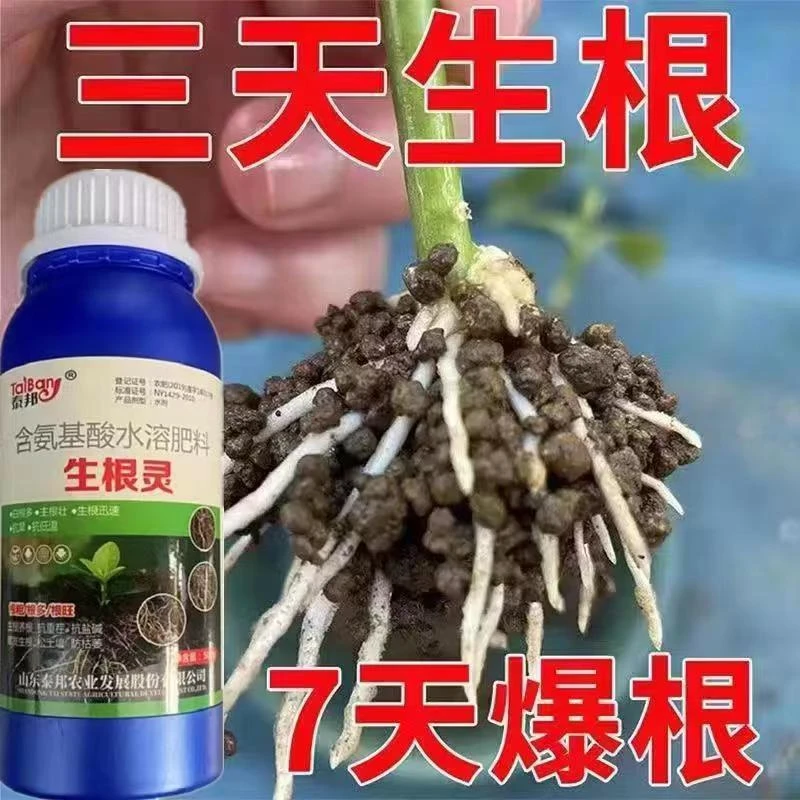 进口生根液生根壮苗剂速效生根液大树移植苗木扦插月季果树生根