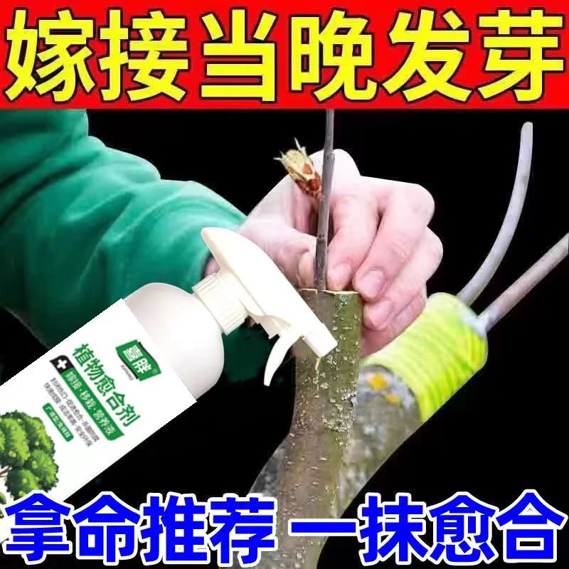 树木伤口愈合剂愈合膏涂补剂盆景植物嫁接果树大树涂切口人工树皮