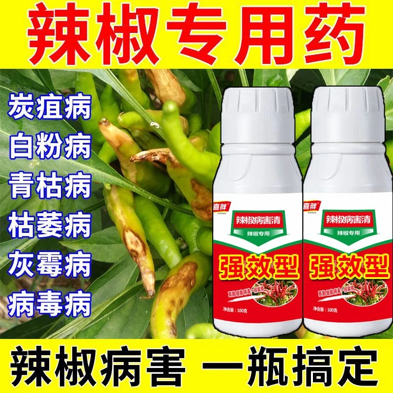 辣椒病全治辣椒专用药炭疽病疫病溃疡病软腐病烂果花皮病防烂特效