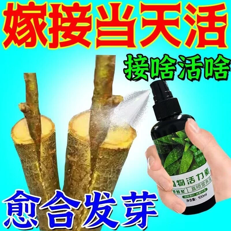 万能型植物嫁接促活液伤口愈合剂盆景植物嫁接蟹爪兰果树