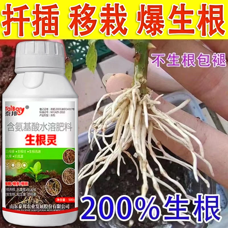 【3天生根】强力生根液植物扦插生根剂快速生根壮苗扦插移栽专用