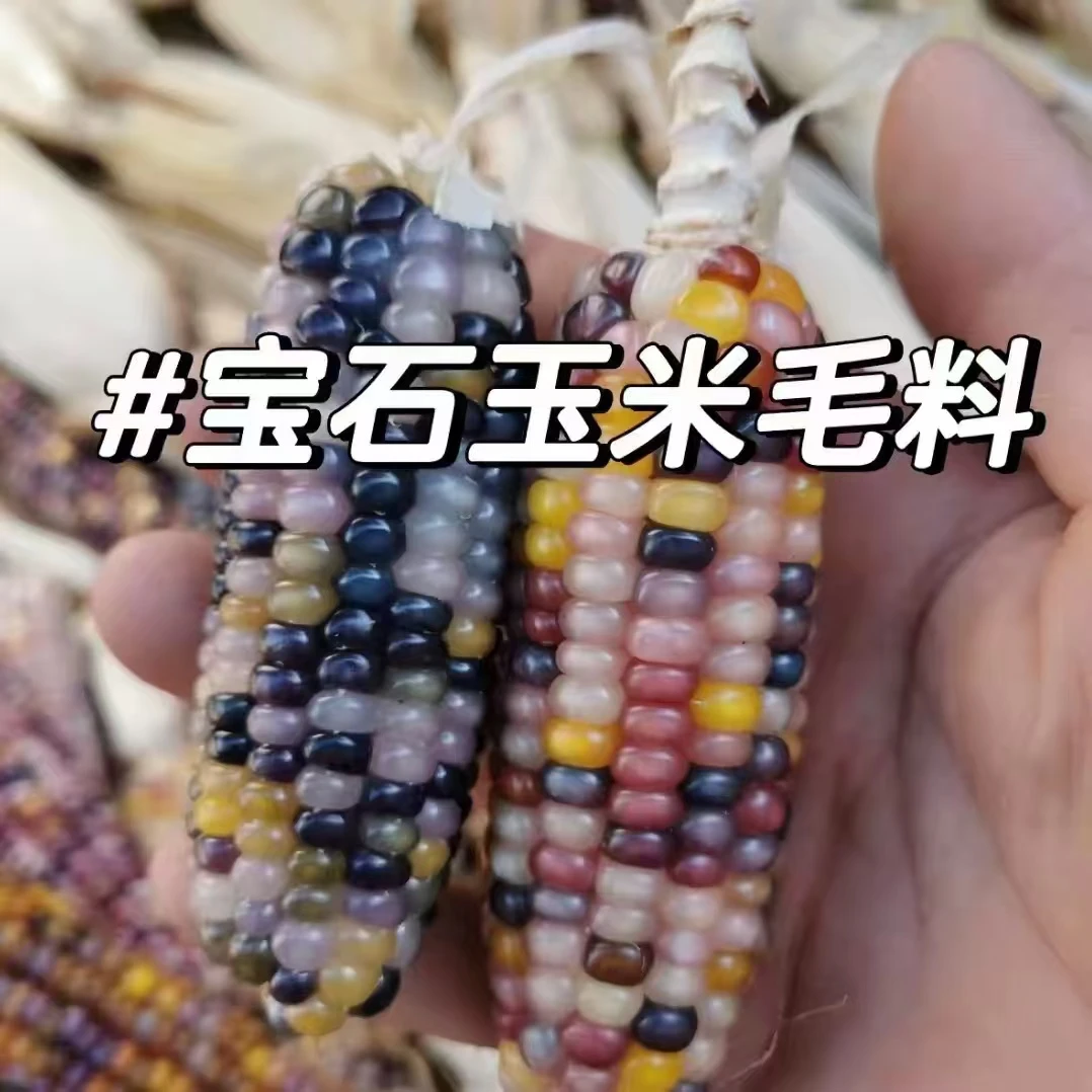 直播间链接文玩玉米DIY