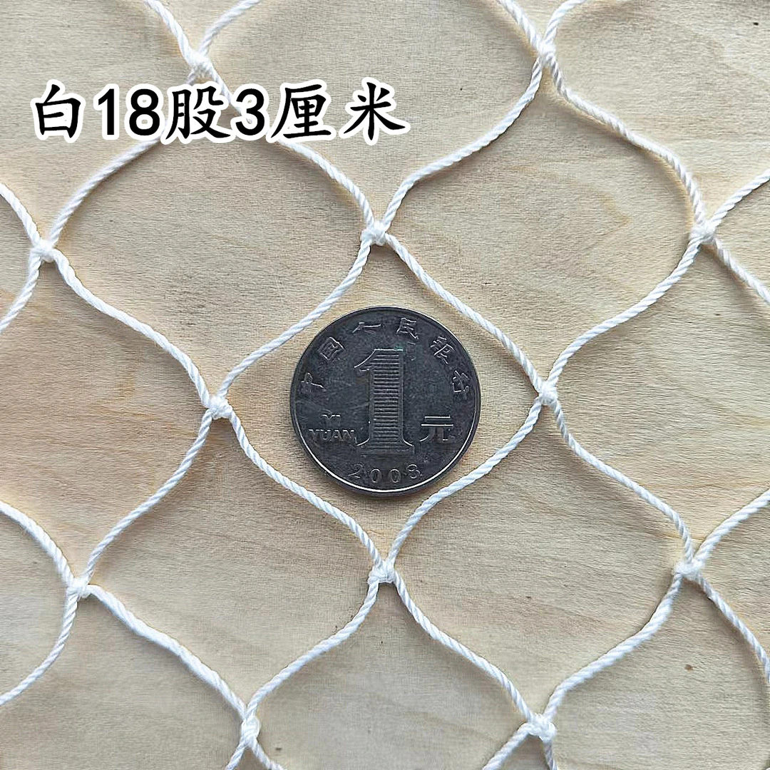 18股3厘米白色尼龙网养鸡网拦鸡网养殖网渔网菜园网围栏网顶网天