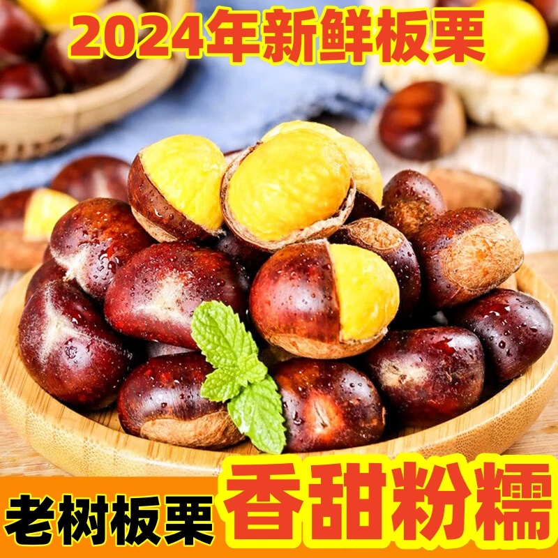 [拍3斤送2斤]新鲜板粟生粟子大板栗现摘现发软糯香甜5斤装