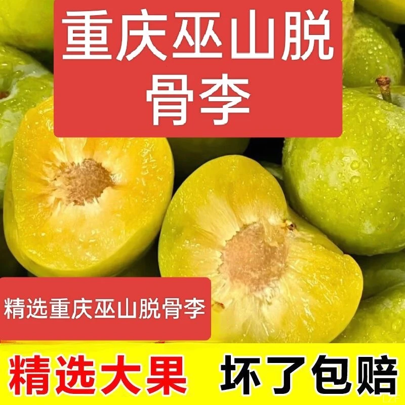 【果园直发】重庆巫山李子应季新鲜水果5斤整箱非蜂糖李脆甜化渣
