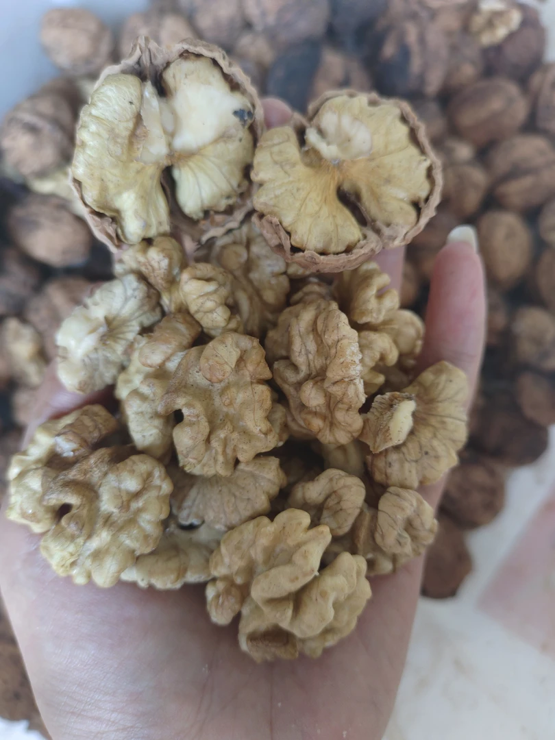 云南无量山百年老树核桃干货，新货上市晒干发货味道清甜，油香味浓