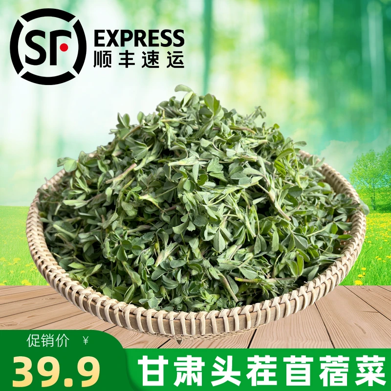 甘肃苜蓿菜（野菜）