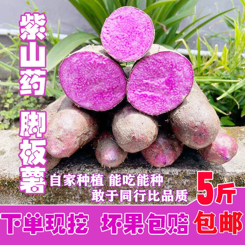 赣南紫山药大薯毛薯现挖现发赣南紫山药红薯五斤