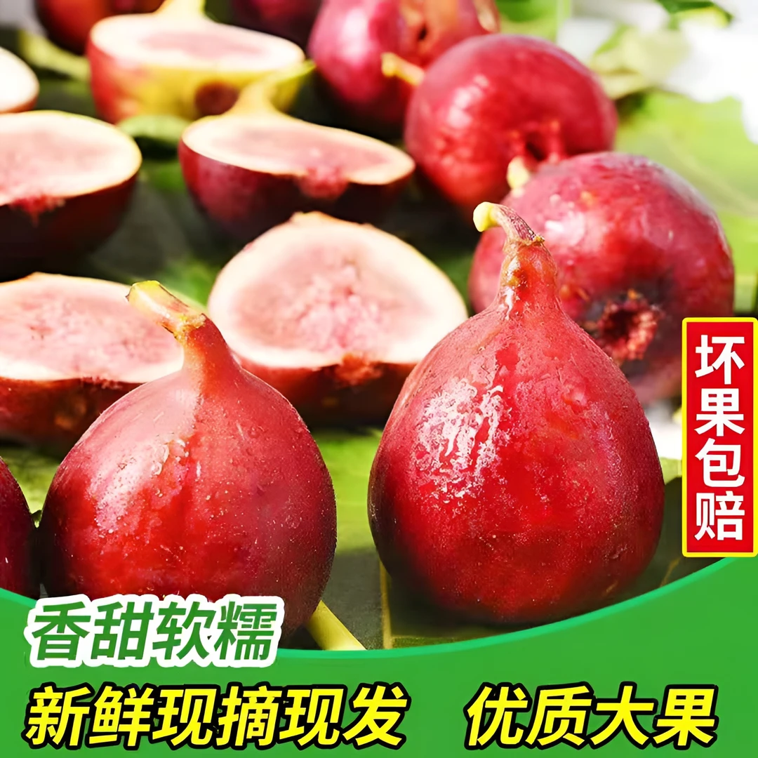 新鲜无花果新鲜波姬红无花果鲜果营养水果当季无花果大果0.8斤包