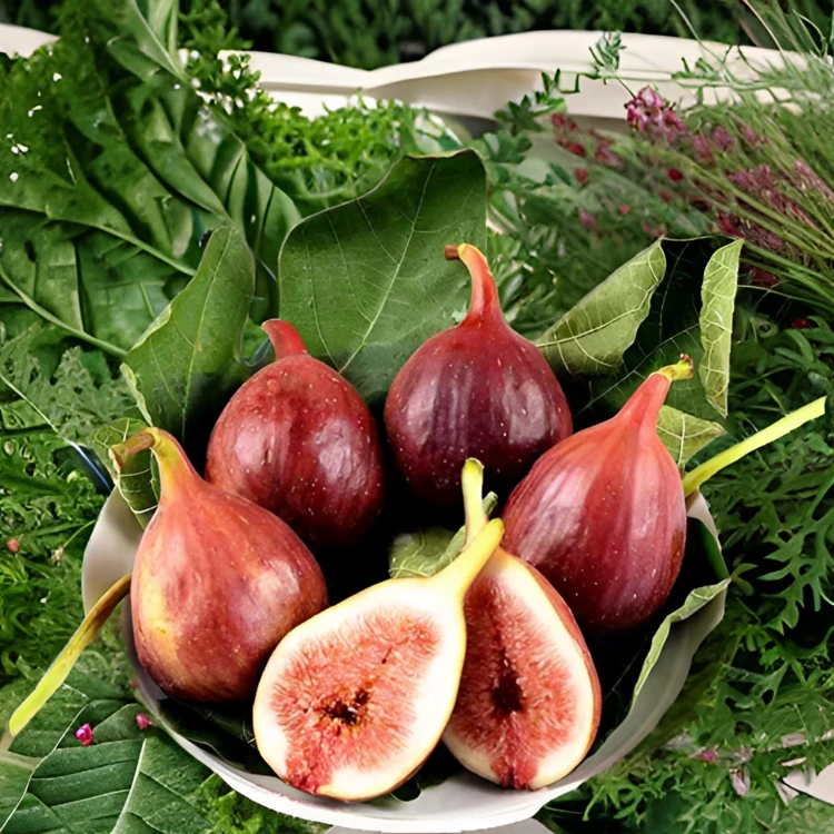 新鲜红皮无花果波姬红鲜果清甜当季新鲜水果鲜果水果饱满9个包邮