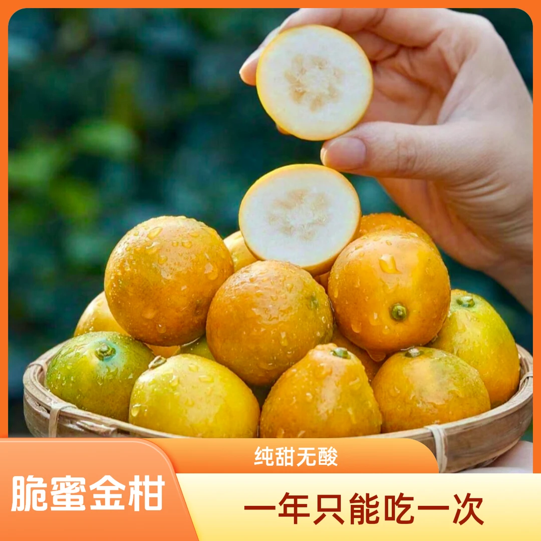 广西融安【脆蜜金柑】第三代爆汁甜蜜新鲜果园现摘现发