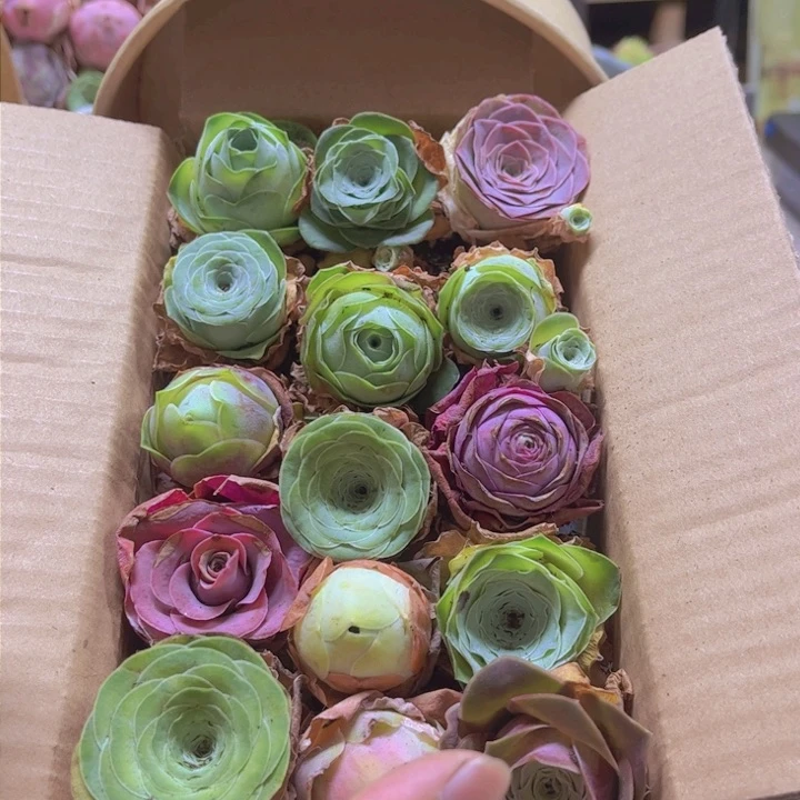 000002量拍一箱。