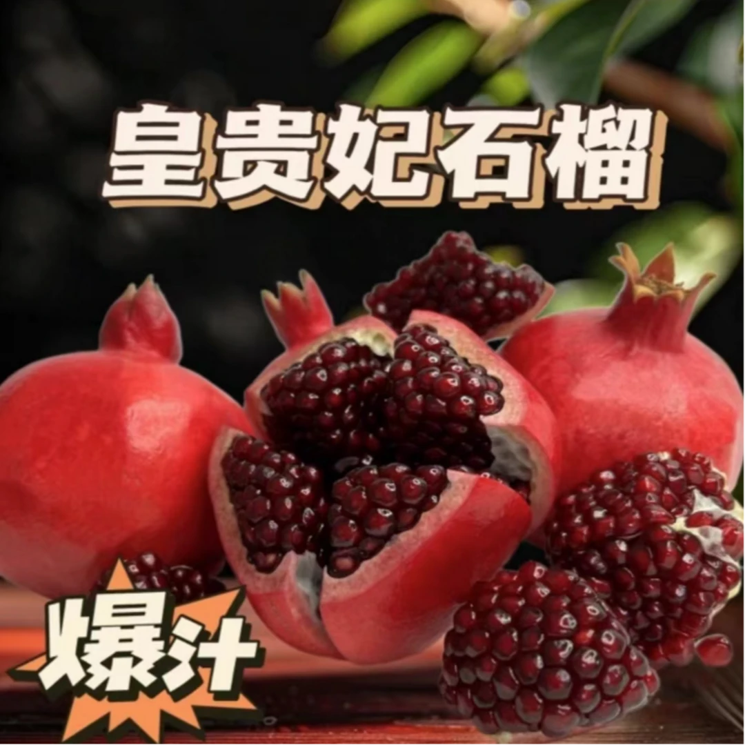 【黑金皇后】正宗四川会理黑金皇后软籽石榴4.5~5斤装饱满多汁
