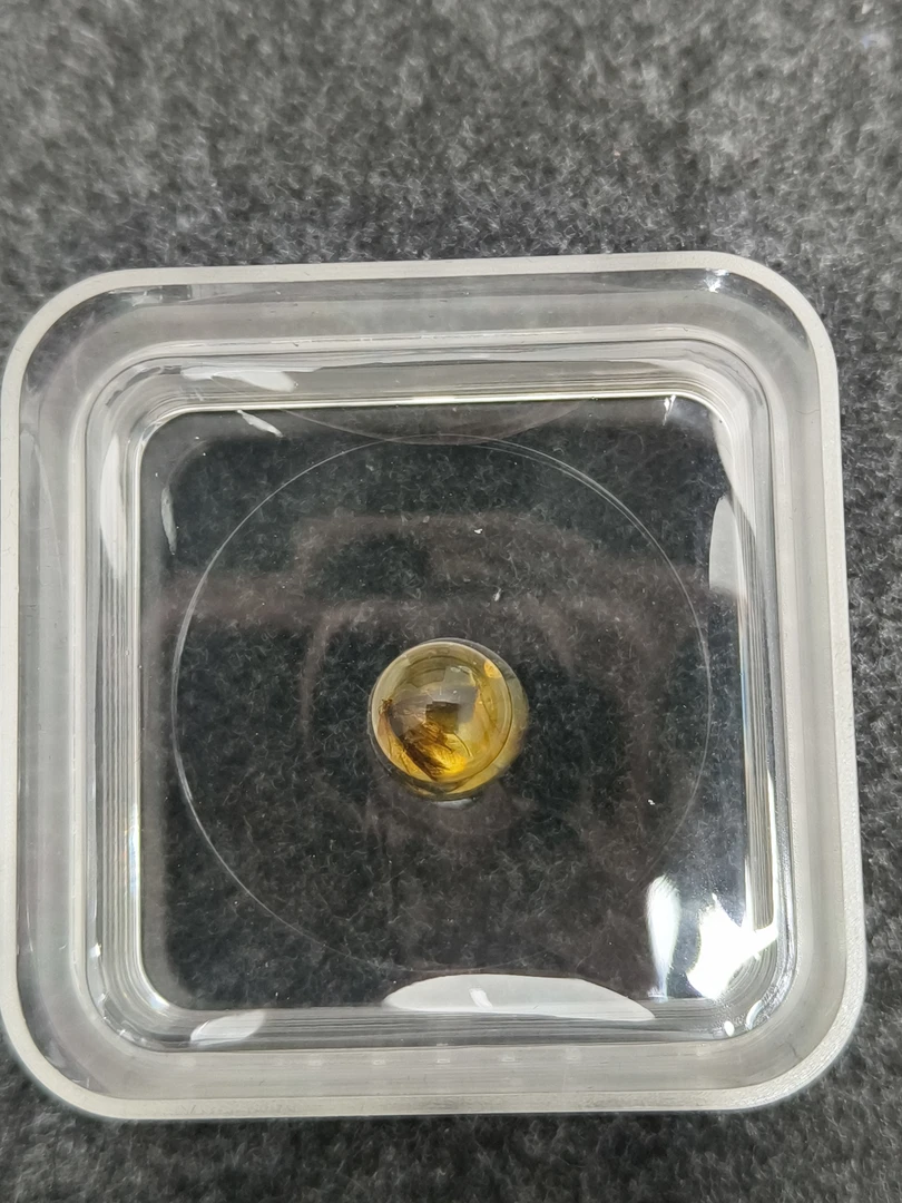 虫珀 9.4mm 圆珠