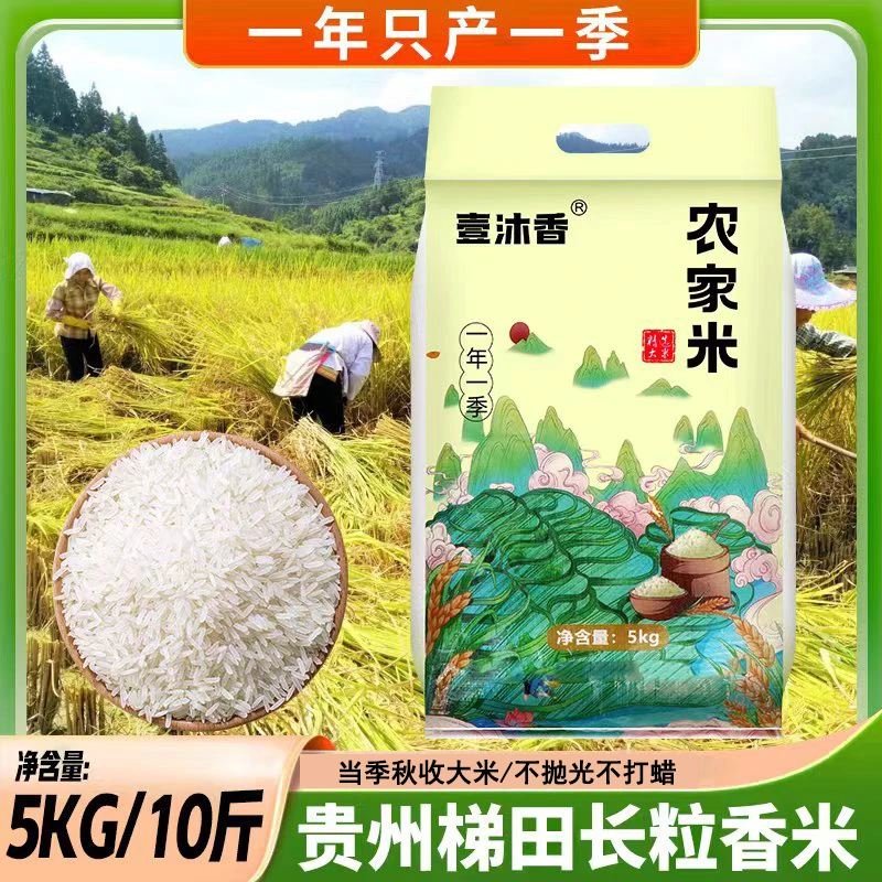 【2025年新大米】长粒香米粒大米饭软糯香现磨现发不抛光打蜡10斤装
