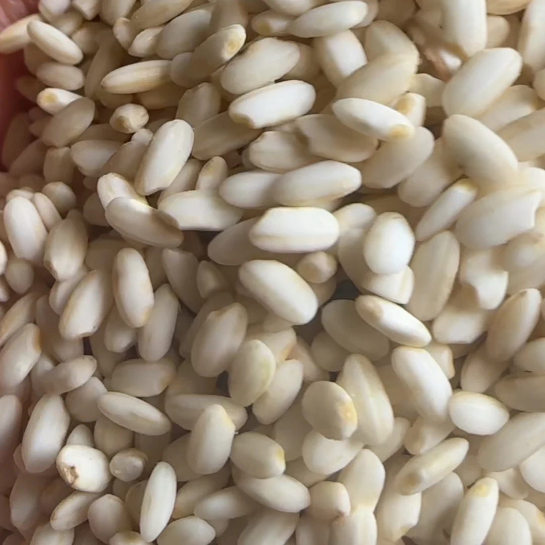 农家婆婆爷爷自己种的糯米