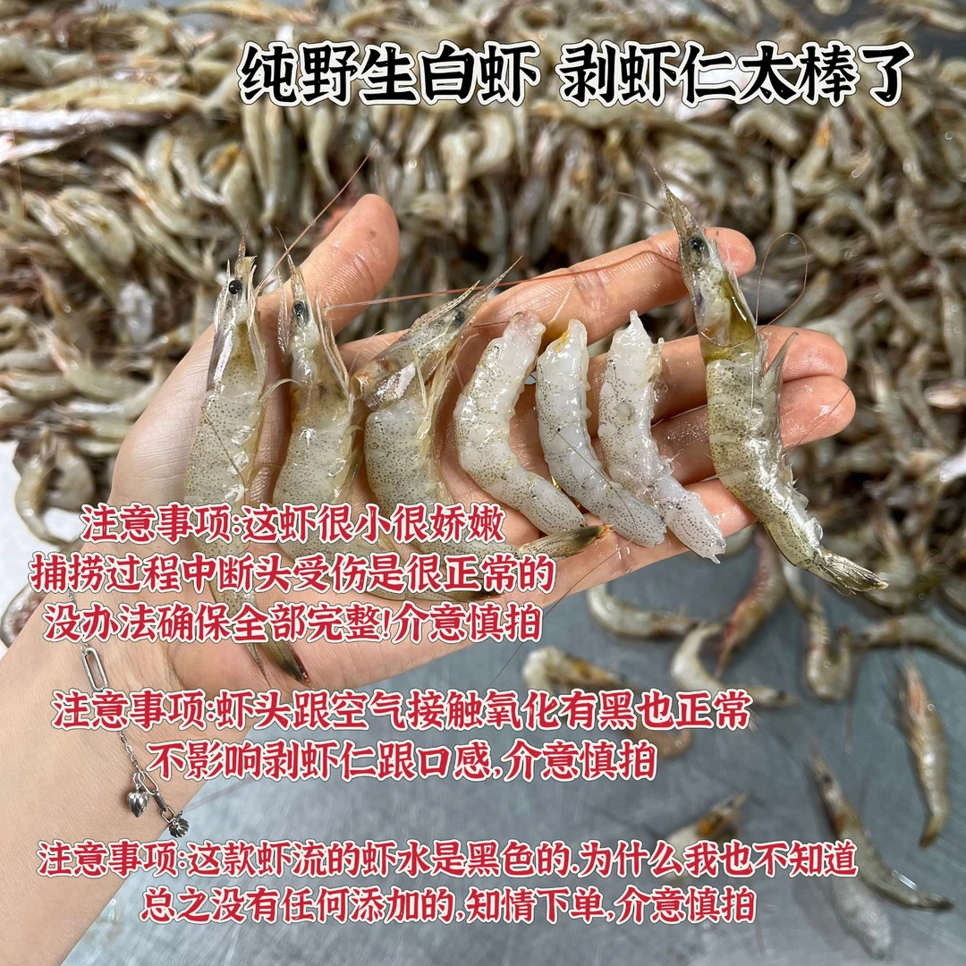 吕四渔港码头 纯野生白条虾 白虾 羊毛虾1-10斤