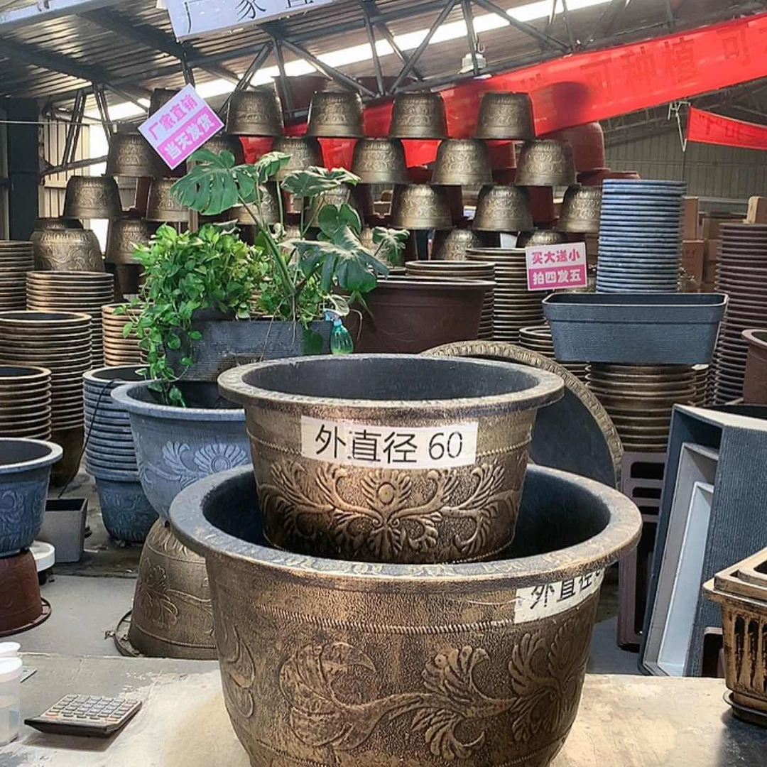 【闪购商品】复合20CM（含）-50CM（不含）金*虎