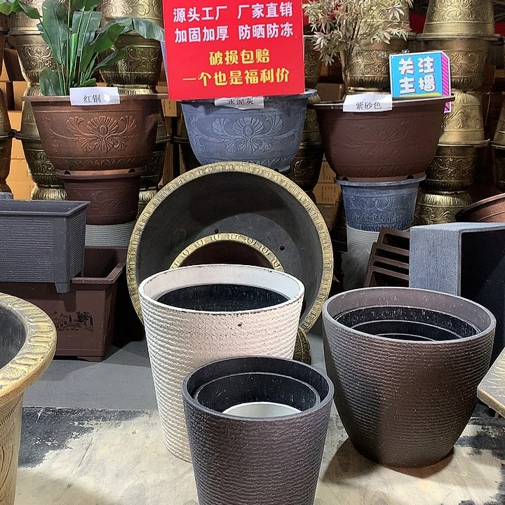 复合20CM（含）-50CM（不含）大*豆