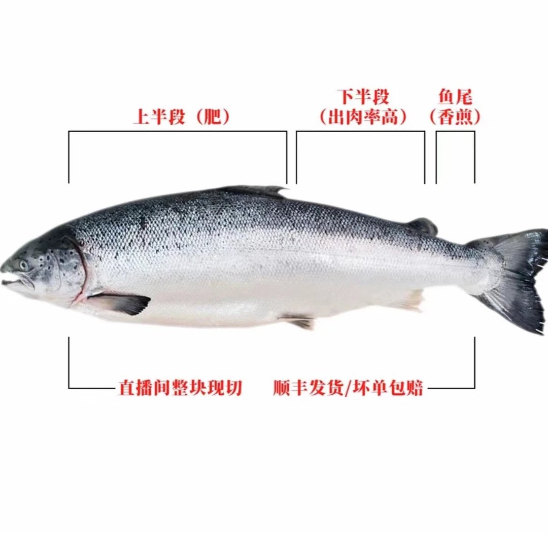 2️⃣直播间现称改价链接 挪威三文鱼下半段（出肉率高）