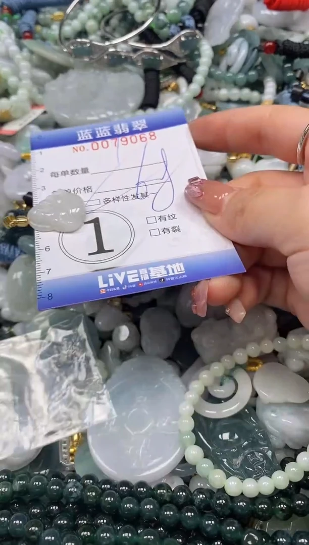 【闪购商品】翡翠颈饰未镶嵌闪购0079068多样性发其一
