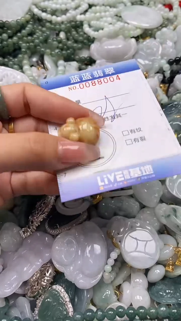 【闪购商品】翡翠颈饰未镶嵌闪购0088004