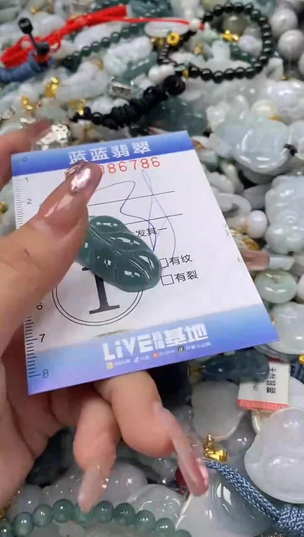 【闪购商品】翡翠颈饰未镶嵌闪购0086786
