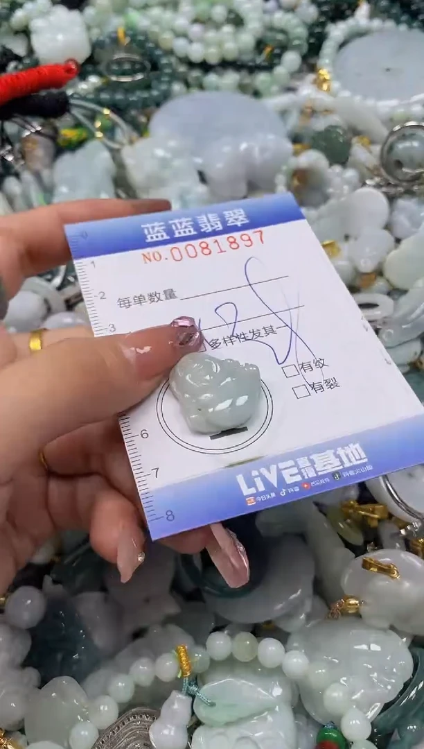 【闪购商品】翡翠颈饰未镶嵌闪购0081897