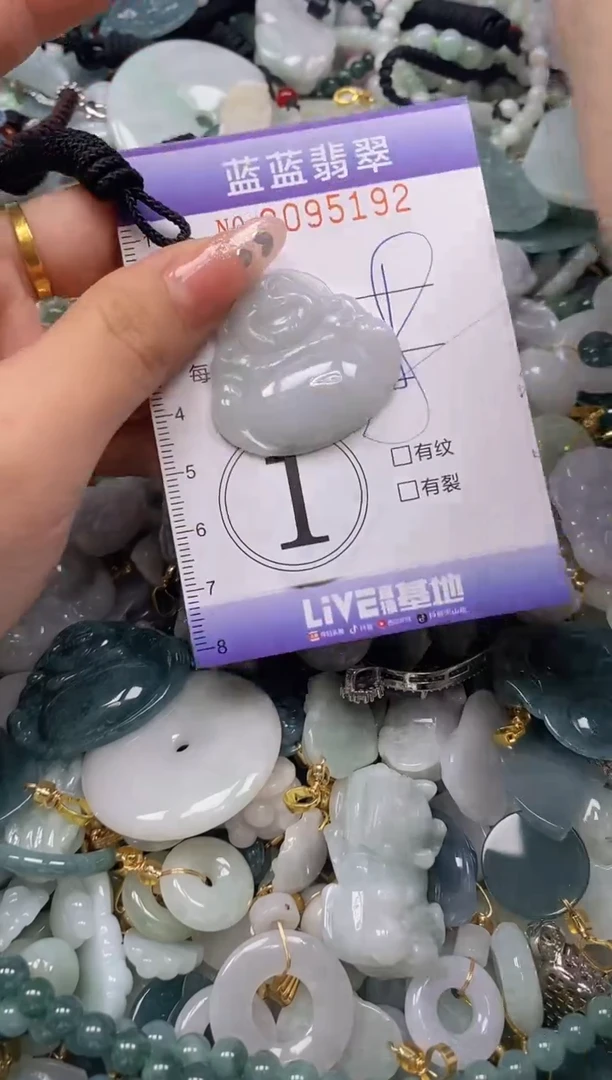 【闪购商品】翡翠颈饰未镶嵌闪购0095192