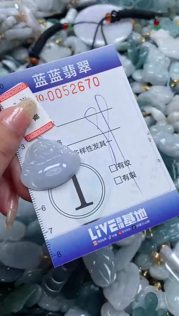 【闪购商品】翡翠颈饰未镶嵌闪购0052670