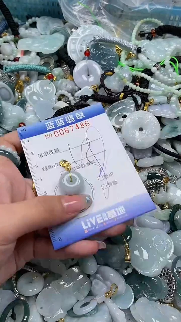 【闪购商品】翡翠颈饰未镶嵌闪购0067486