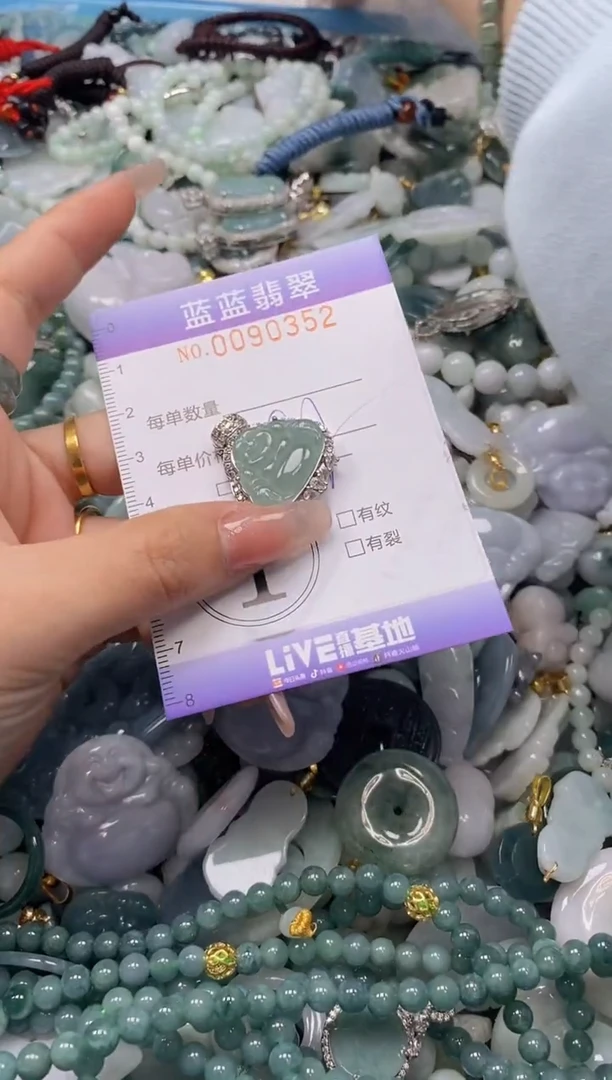 【闪购商品】翡翠颈饰未镶嵌闪购0090352