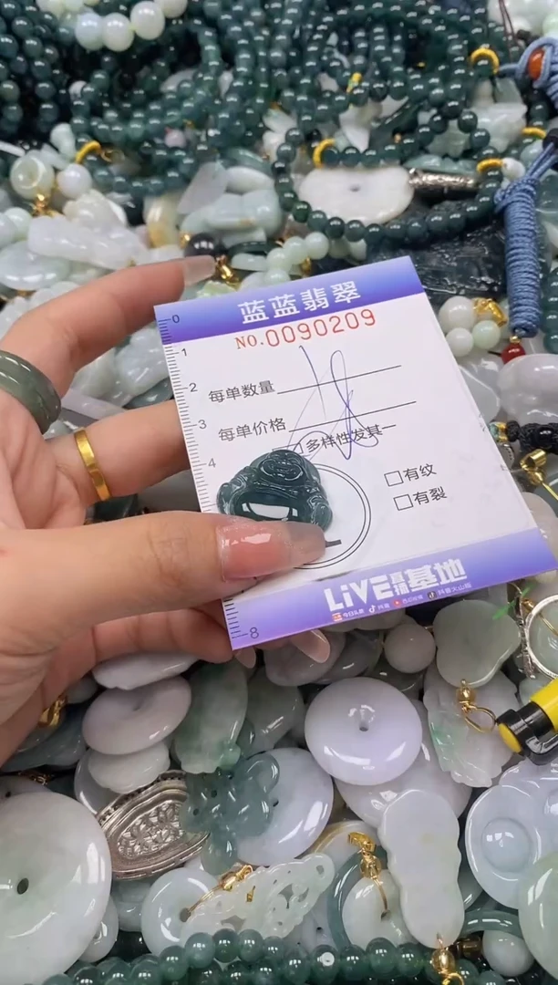 【闪购商品】翡翠颈饰未镶嵌闪购0090209多样性发其一圈口