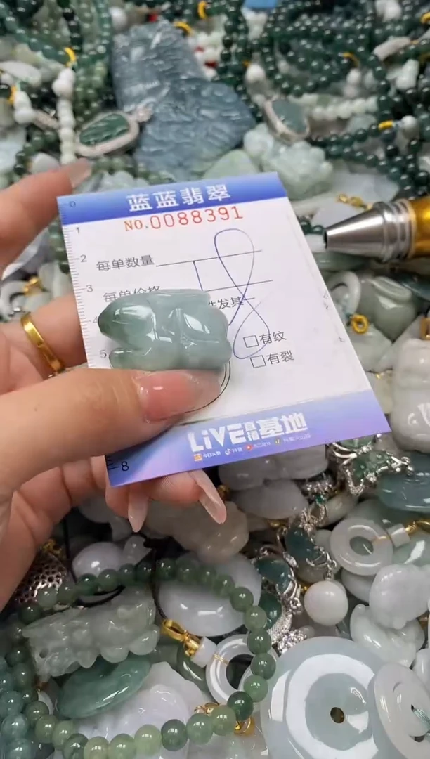【闪购商品】翡翠颈饰未镶嵌闪购0088391