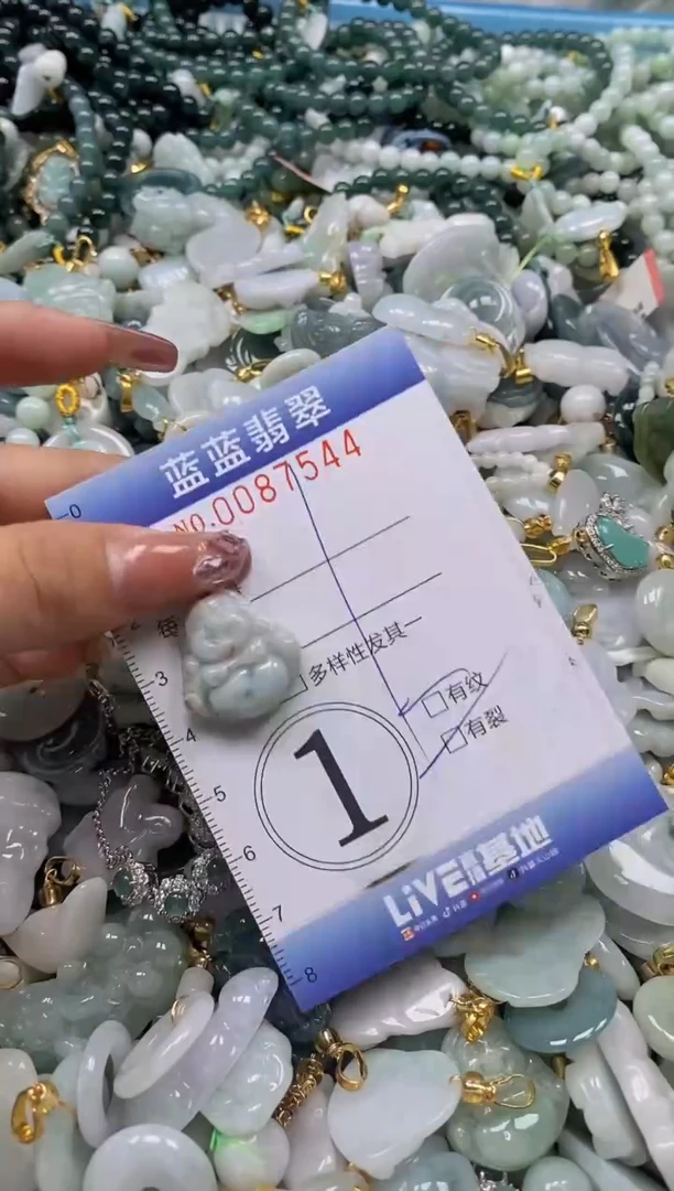 【闪购商品】翡翠颈饰未镶嵌闪购0087544