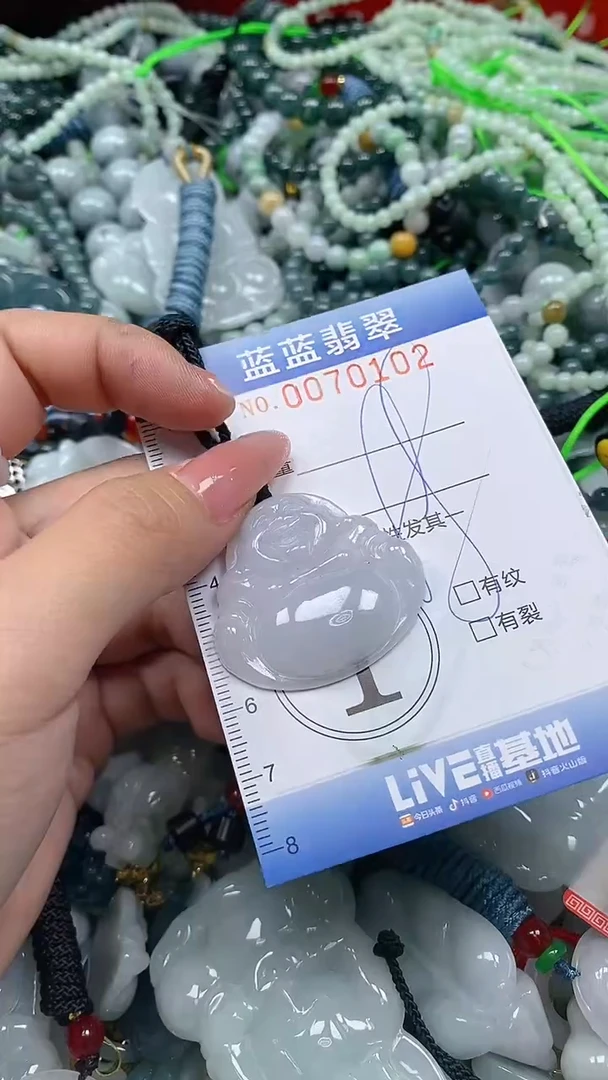 【闪购商品】翡翠颈饰未镶嵌闪购0070102