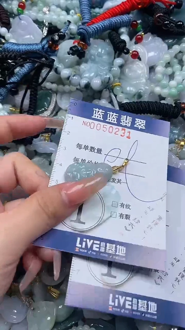 【闪购商品】翡翠颈饰未镶嵌闪购0050231