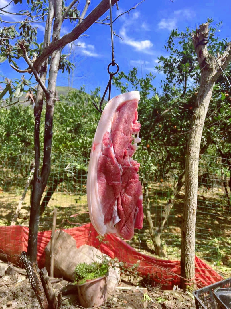 来凤正宗农家土猪新鲜后腿肉包邮