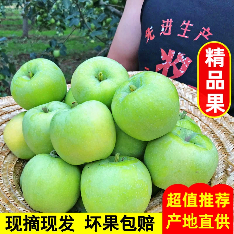 【山西运城青苹果】现摘现发苹果孕妇水果5斤酸甜爽口开胃解馋包邮H