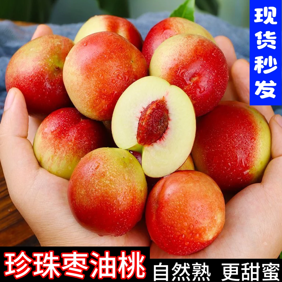 【现摘珍珠枣油桃】山西运城珍珠枣油桃香甜脆爽非黄肉大油桃