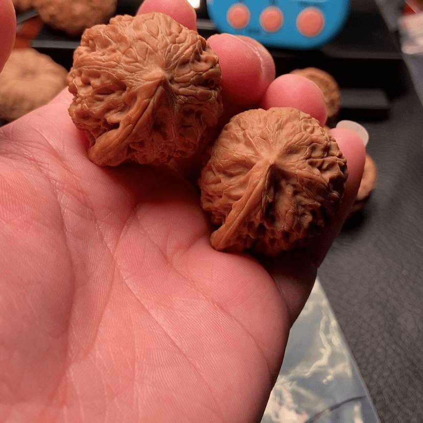 【闪购商品】桃核吊坠用****2宫