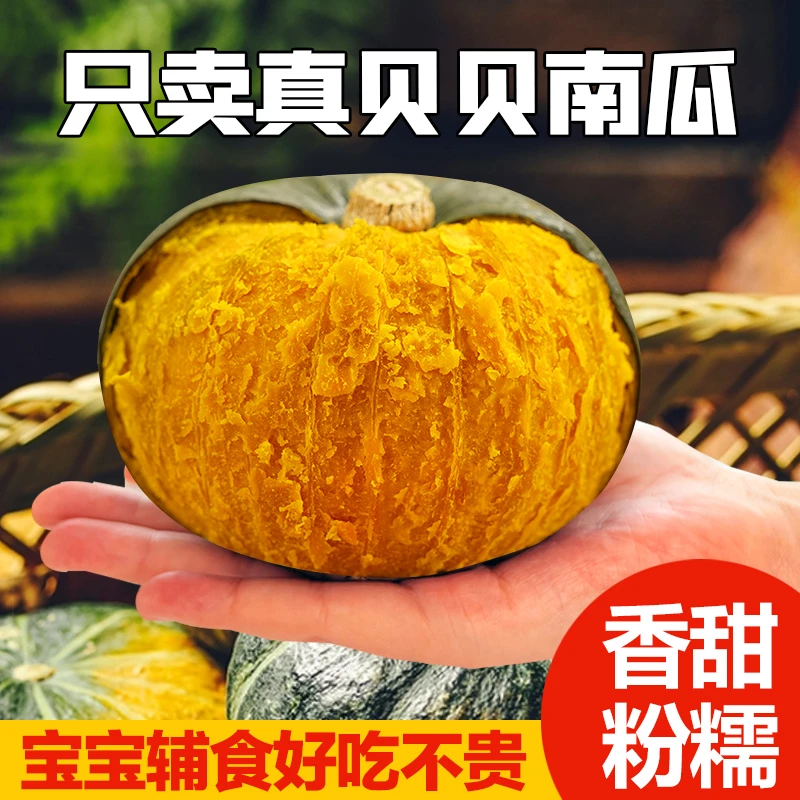 白浪源2号沙漠贝贝南瓜大果4.5-5斤新鲜蔬菜粉糯香甜板栗南瓜