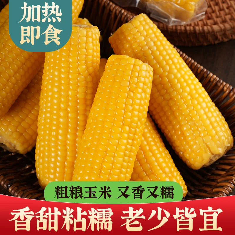 白浪源黄糯黏玉米八支装新鲜蒸煮真空香甜黏糯
