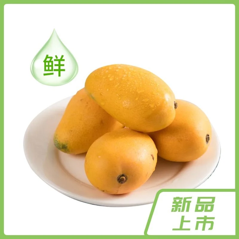 新鲜小台芒 芒果 约500g/份 休闲水果小芒果