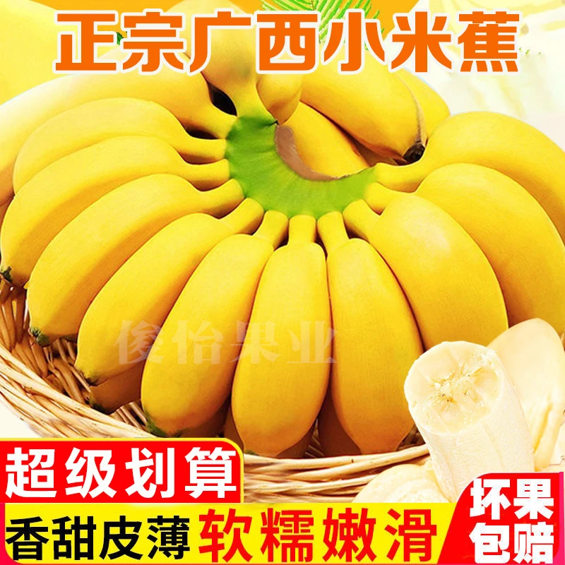 广西小米蕉整箱批发10斤应季新鲜水果非苹果蕉香蕉甜糯薄皮皇帝蕉