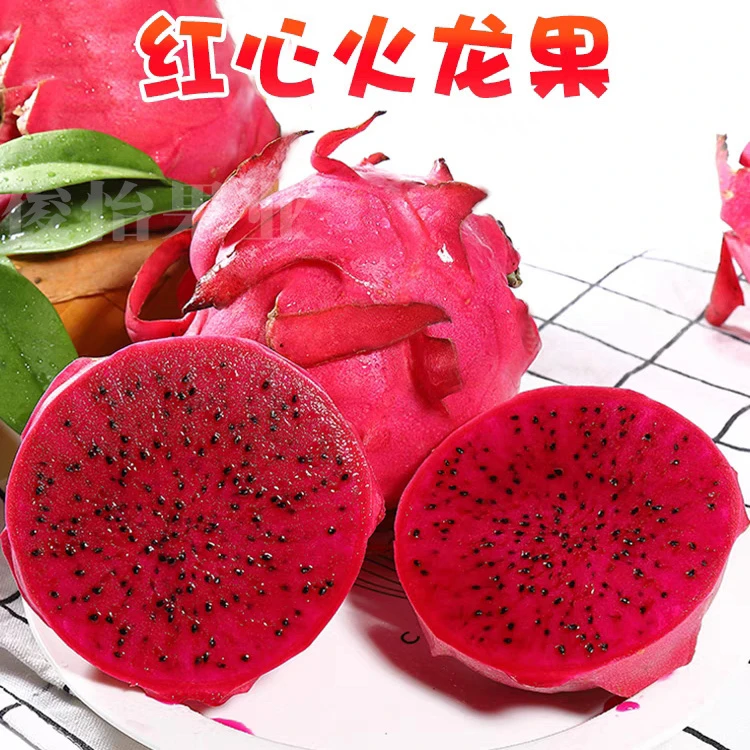 金都一号红心火龙果新鲜采摘4.7-5斤鲜果园现摘直发整箱批发俊怡