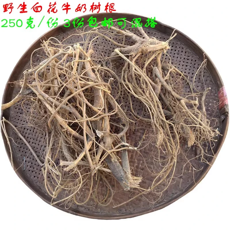梅州 客家 牛奶树根 牛奶树茎 野生 大山 人参果煲汤香 250克